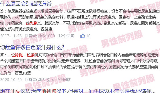 汕头前列腺的位置